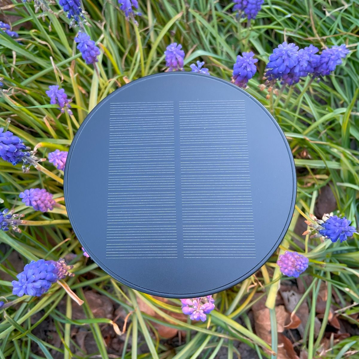 Lampa solarna CARLI DT33611