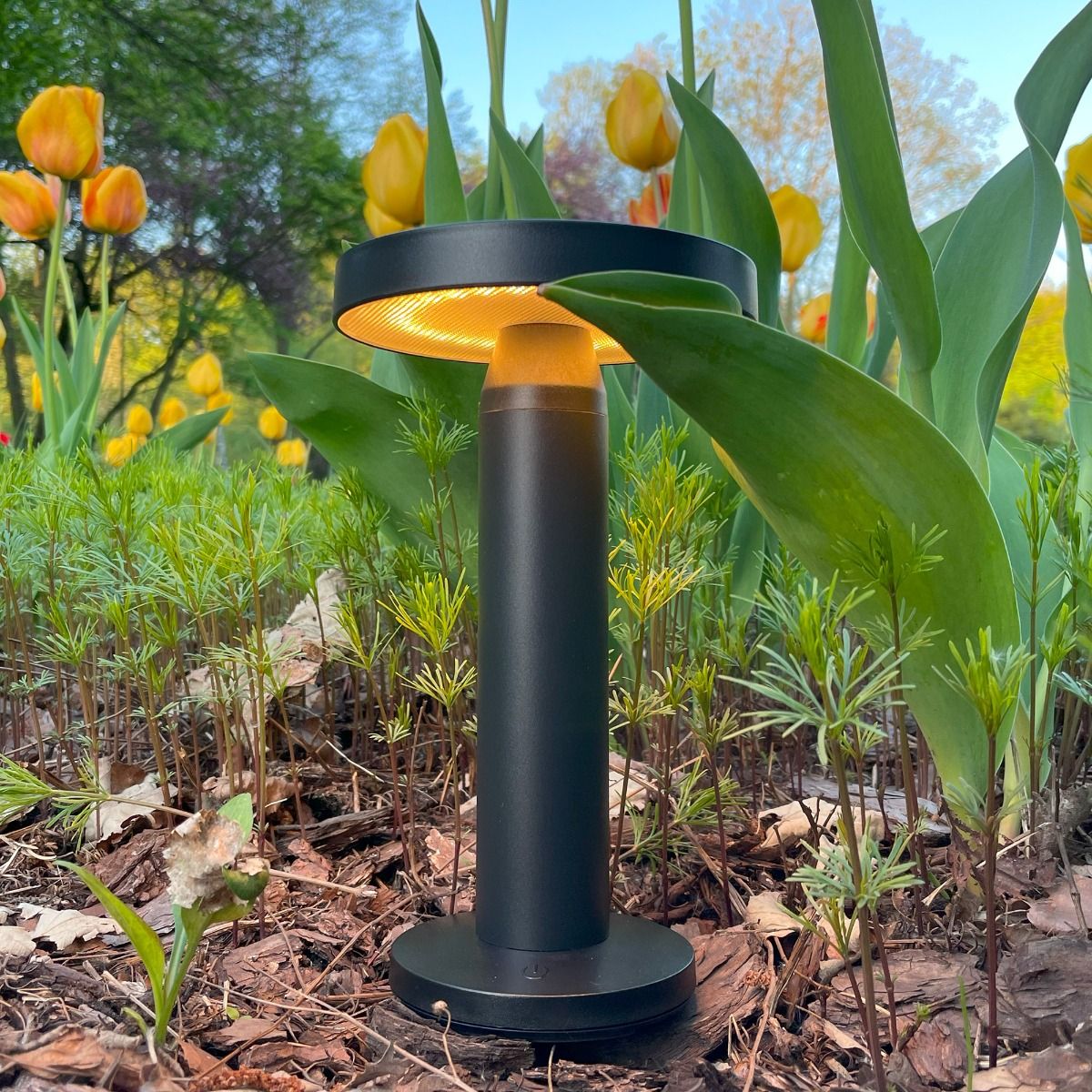 Lampa solarna CARLI DT33611