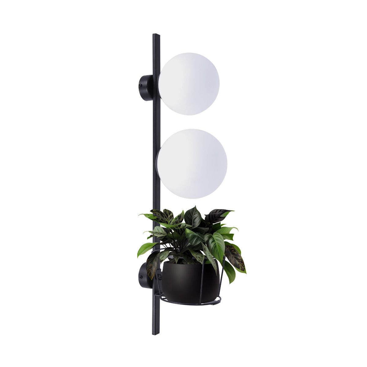 5002 PLANT WALL LAMP