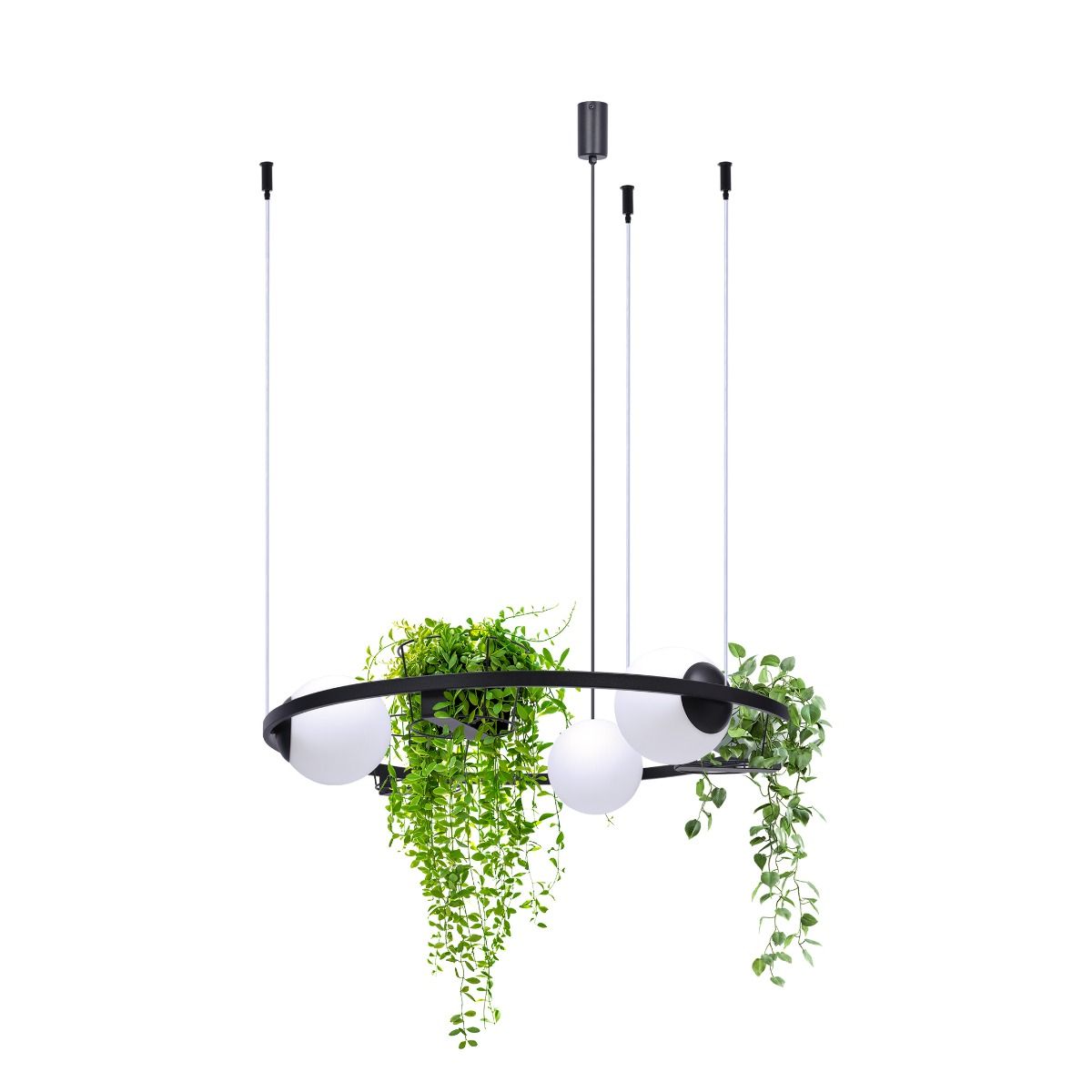 5005 PLANT 3 PENDANT LAMP