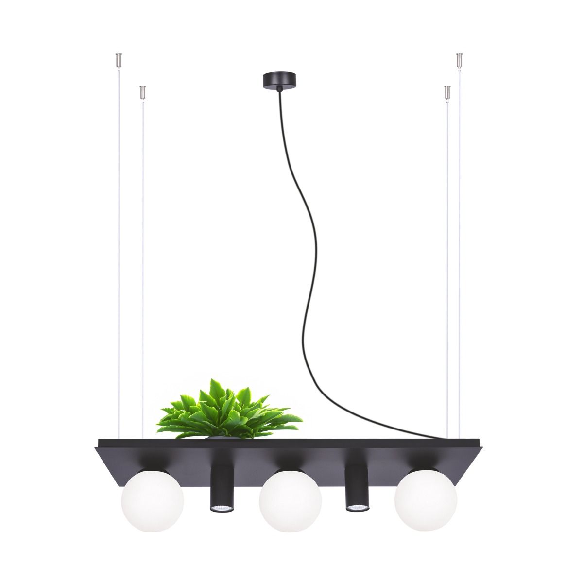 5555 PLANT SHELF lampa wisząca czarna/ black