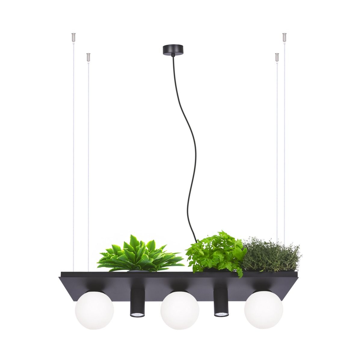 5555 PLANT SHELF lampa wisząca czarna/ black