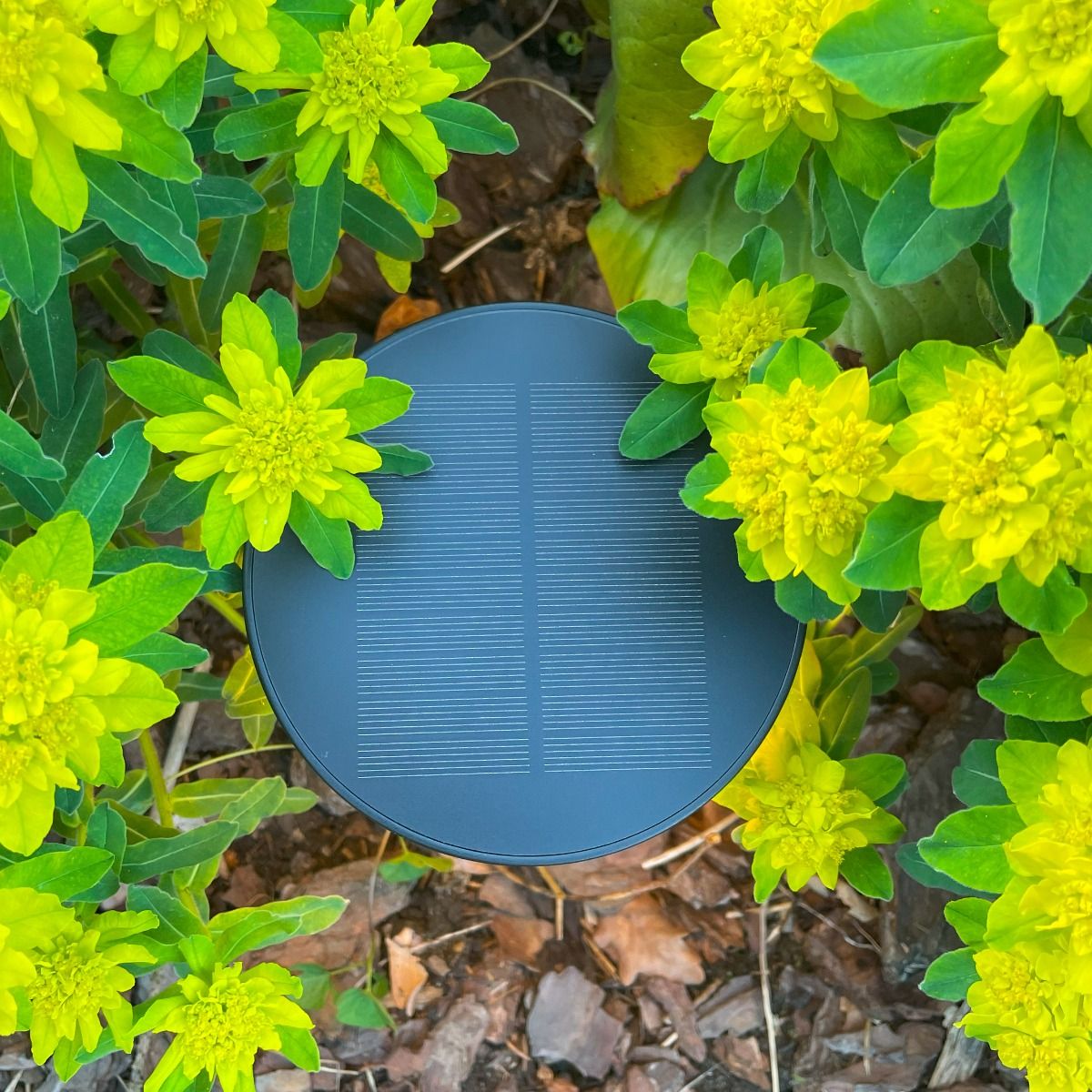 Lampa solarna CARLI DT33611