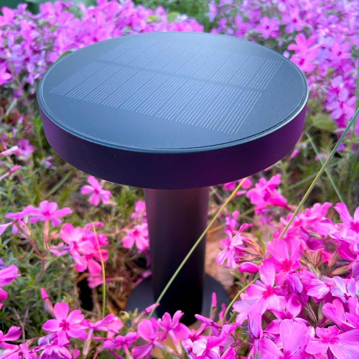 Lampa solarna CARLI DT33611