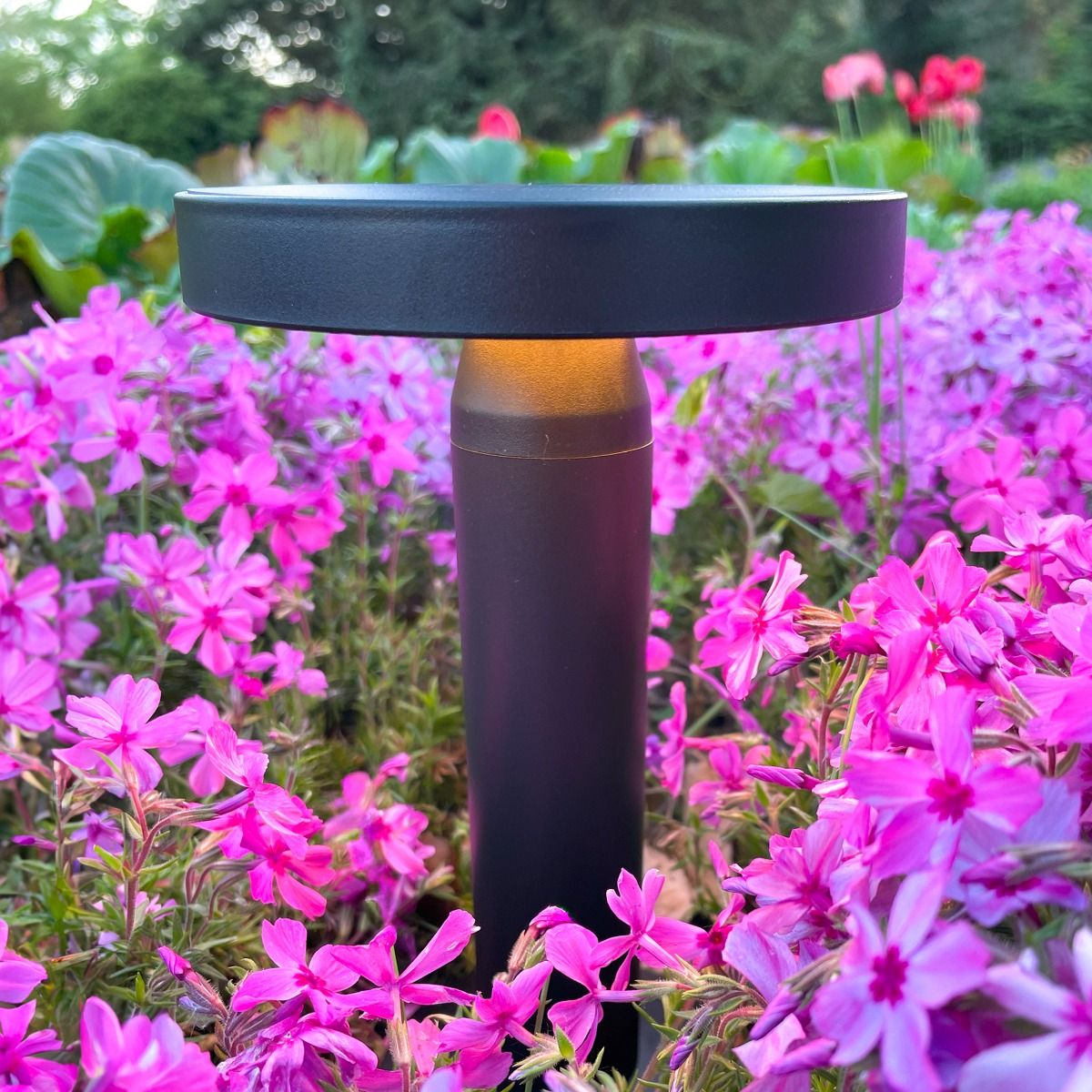 Lampa solarna CARLI DT33611