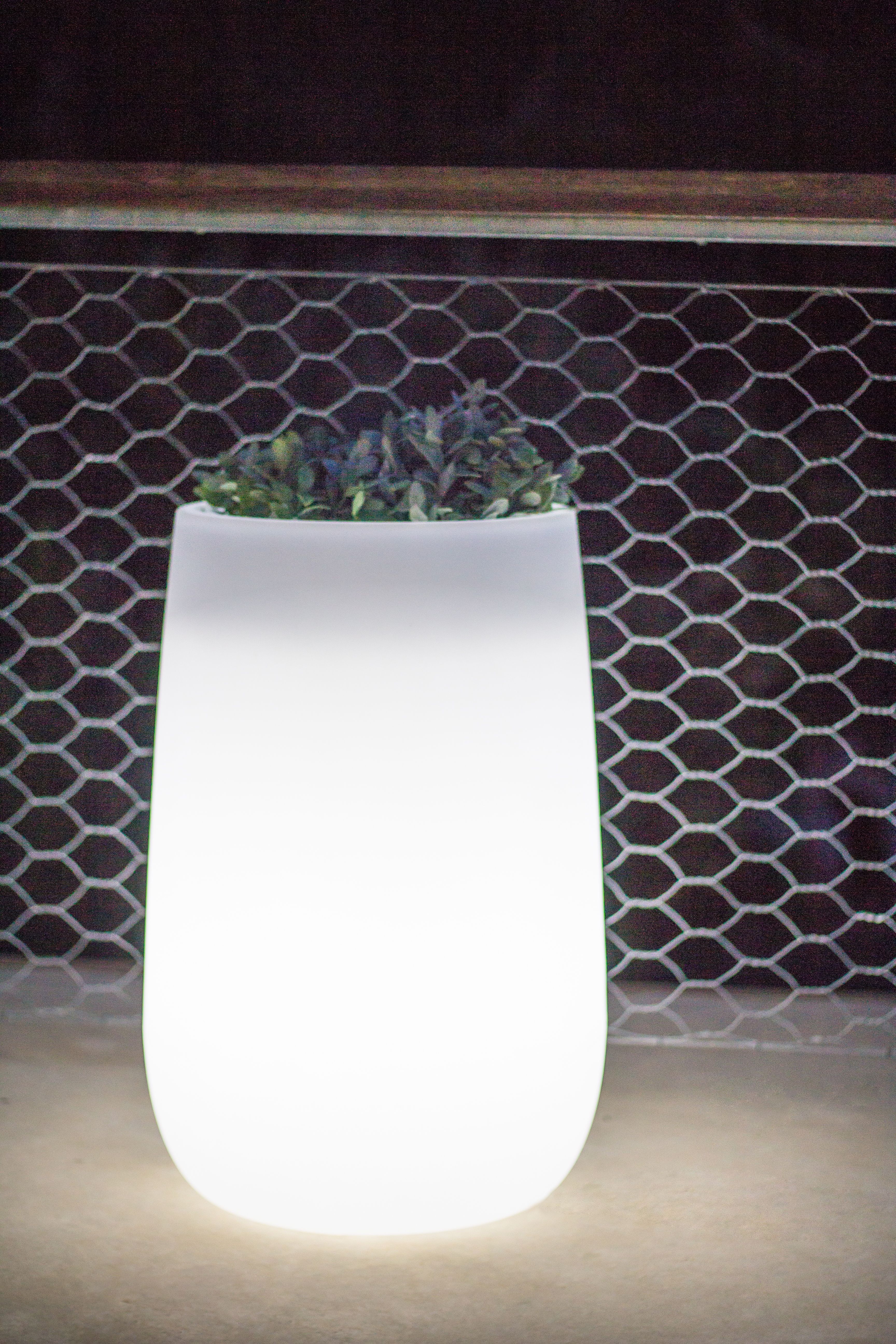 Doniczka CAMELIA LED LUMCAHIGOFNW