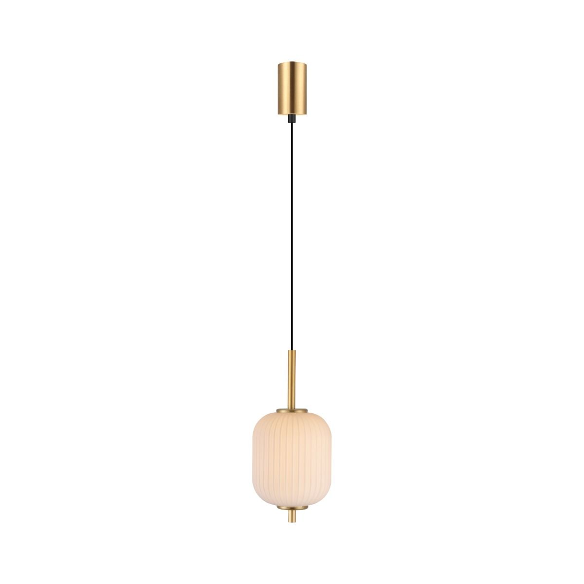 Lampa wisząca AKARI DU31288/6.5W