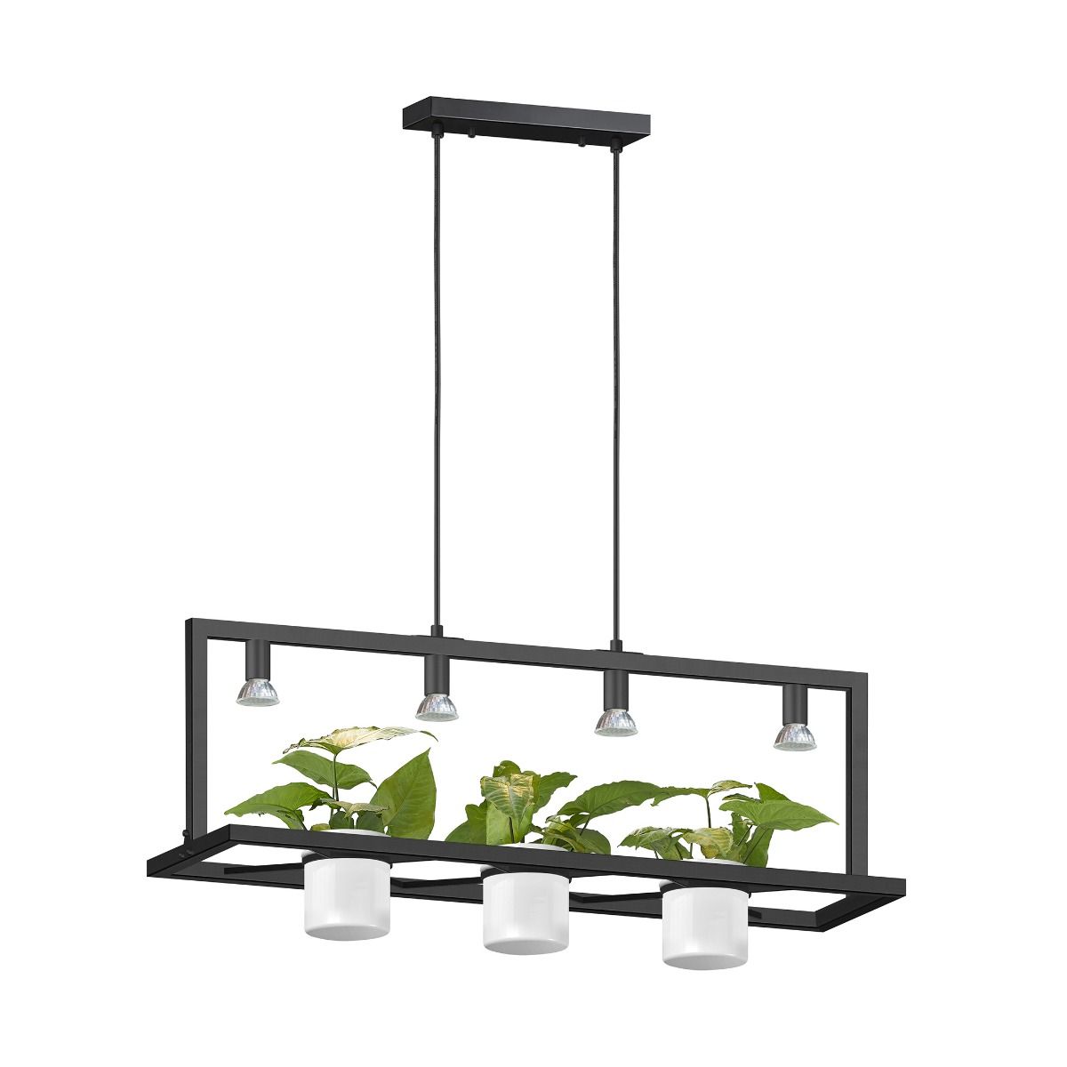 P0536-04B-P7AB PLANTER LAMPA WISZĄCA CZARNA/BLACK