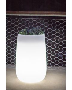 Doniczka CAMELIA LED LUMCAHIGOFNW