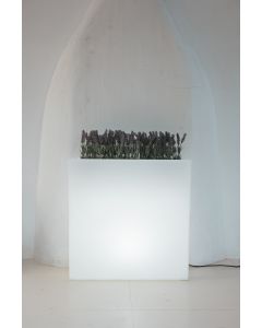 Doniczka JUNCO 80 LED 3324